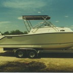 pro37