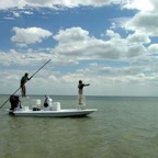 Gulfscapescurlew3